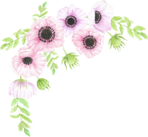 ramo de flores de anémona dibujado a mano acuarela png