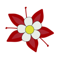 Red flower with white petal, pink background png