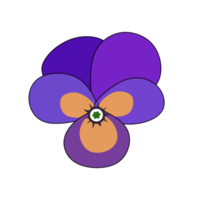 Purple flower pansy viola, Blooms are typically two toned, with blue, violet and lavender being the typical colors png