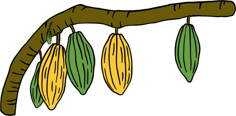 Fruta Fresca Gourmet PNG ,dibujos Fruta Cítrica, Hoja De Fruta