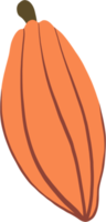 cacao fruit doodle drawing png