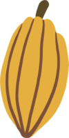 cacao fruit doodle drawing png