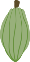 dessin de doodle de fruits de cacao png