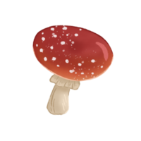 Mushroom Crayon Illustration png