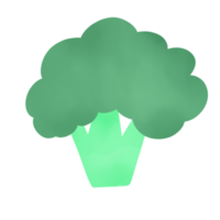 mano disegnato broccoli per decorativo png