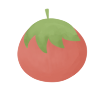 handgezeichnete tomate für dekoratives design png