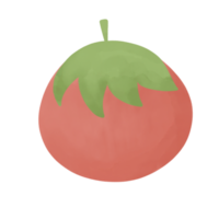 mano disegnato pomodoro per decorativo design png