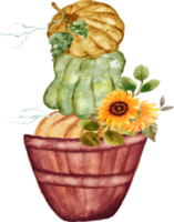 basket with pumpkins and mushroom png