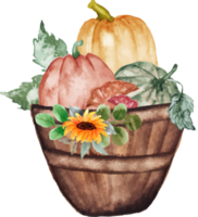 bucket with pumpkins and mushroom png