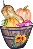 basket with pumpkins and mushroom png