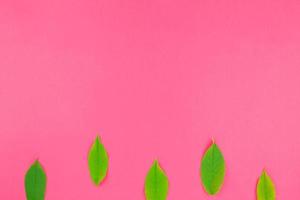 Flat lay pattern with fresh green leaves photo