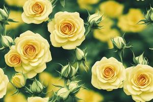 Seamless pattern of yellow roses on green. Romantic floral repeatable background, backdrop, wallpaper. photo