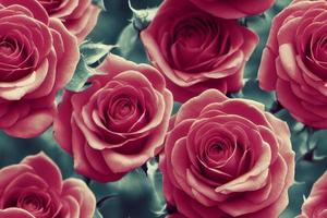 patrón sin costuras de rosas rojas. fondo floral romántico repetible, telón de fondo, papel tapiz. foto