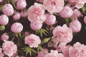 Seamless pattern. Beautiful pink peonies. Repeatable background, wallpaper, backdrop. Wide photo