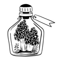 sketch of edible morel mushrooms. mushrooms with leaves in bottle with cork and label. glass bottle, flask with potion, magic elixir.  spongy morel, fresh mushrooms. for Halloween, alchemy. vector