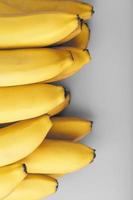 Fresh bunch of yellow bananas isolated on a Gray background Trendy colors of 2021 photo
