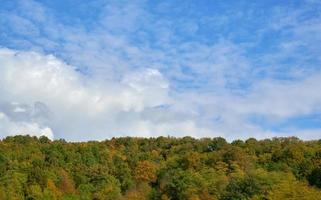 Blue sky with clouds, below the forest with trees of various color. photo