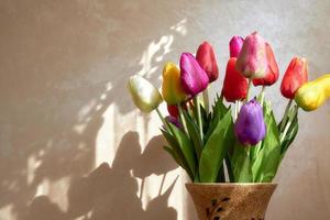 tulipanes de diferentes colores en un jarrón grande, con el telón de fondo de una pared iluminada por el sol. foto