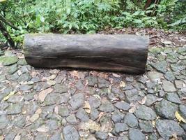 a large tree trunk that has been cut down is made into a bench in the garden of the house photo