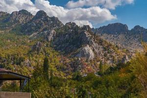 Beautiful shot of forest hills covered in trees near mountains photo