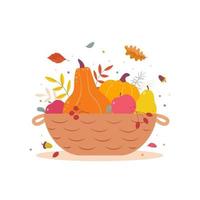 Harvest basket with apples, pumpkins, pears, autumn leaves, berries. Autumn harvest basket, isolated on a white background. Thanksgiving Day. Flat cartoon vector illustration.