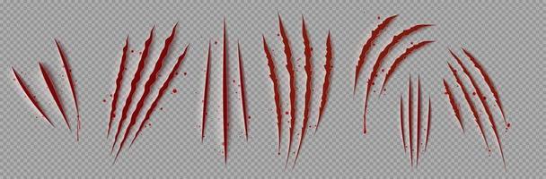 Bloody claw marks realistic png, 3D vector