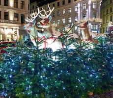 Illuminated artificial reindeer and Santa in Copenhagen photo