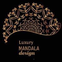 Luxury mandala design background vector