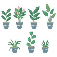 Green house plants with potted vector