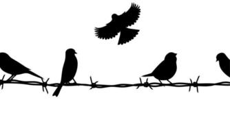 silueta vectorial de un grupo de pájaros en alambre de púas. Aislado en un fondo blanco. ideal para carteles sobre pájaros vector