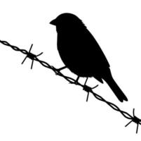 Silhouette of a bird perched on barbed wire. Black bird design concept isolated on a white background. Perfect for posters about birds. Vector illustration