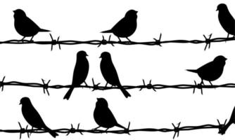 Silhouette of a bird on barbed wire. Concept of group of birds sitting on wire isolated on white background. Great for posters about birds vector