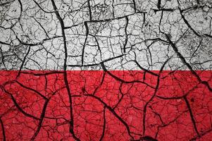 Dry soil pattern on the flag of Poland. Country with drought concept. Water problem. Dry cracked earth country. photo