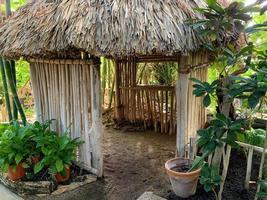 An empty tropical hut in a jungle photo