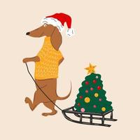 perro dachshund tira de un árbol de navidad en una ilustración de vector de trineo