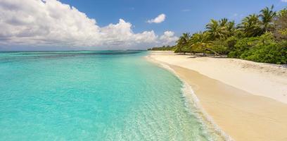 Island palm tree sea sand beach. Exotic beach landscape. Inspire tropical beach seascape horizon. Sunny blue sky beautiful relax calm summer mood. Vacation travel holiday banner, luxury destination photo