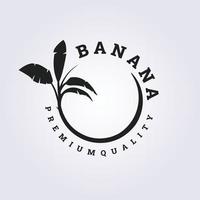 Tree of banana vector logo with circle abstract concept illustration design