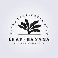 banana leaf vector logo  illustration design