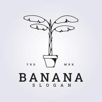 logo of banana tree vector illustration line art design, interior banana tree in the pot