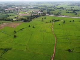 fresh green rice fields, aerial photographs from drones photo