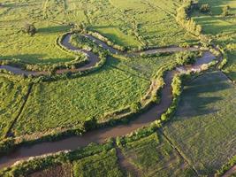 Streams meander in agricultural areas during the rainy season with plenty of water. Green and warm in the morning sunshine. photo