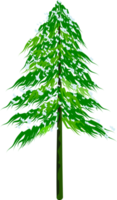 snow pine tree png