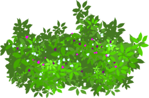 arbusto verde png