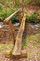 Rustic Footbridge over a mountain stream photo