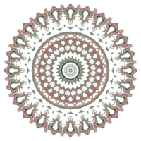 patrón de flor de mandala abstracto png