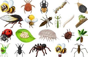 Different kinds of insects collection vector