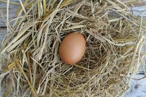 Fresh chicken eggs on dry straw and wooden table in rural village farm in Thailand. photo