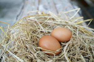 Fresh chicken eggs on dry straw and wooden table in rural village farm in Thailand. photo