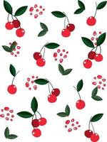 Seamless cherry spring pattern vector