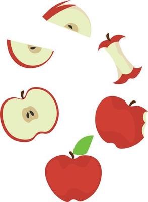 Apple Vector Half Cut Sliced Bitten